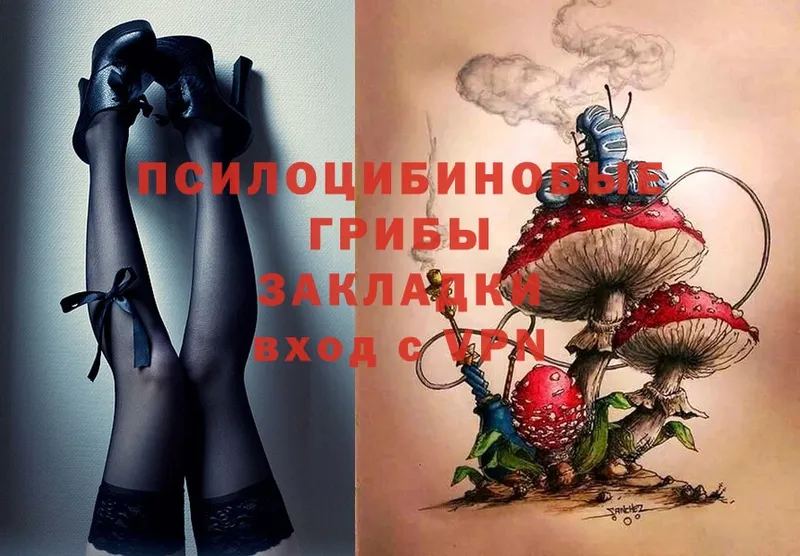 Галлюциногенные грибы Magic Shrooms  Чехов 